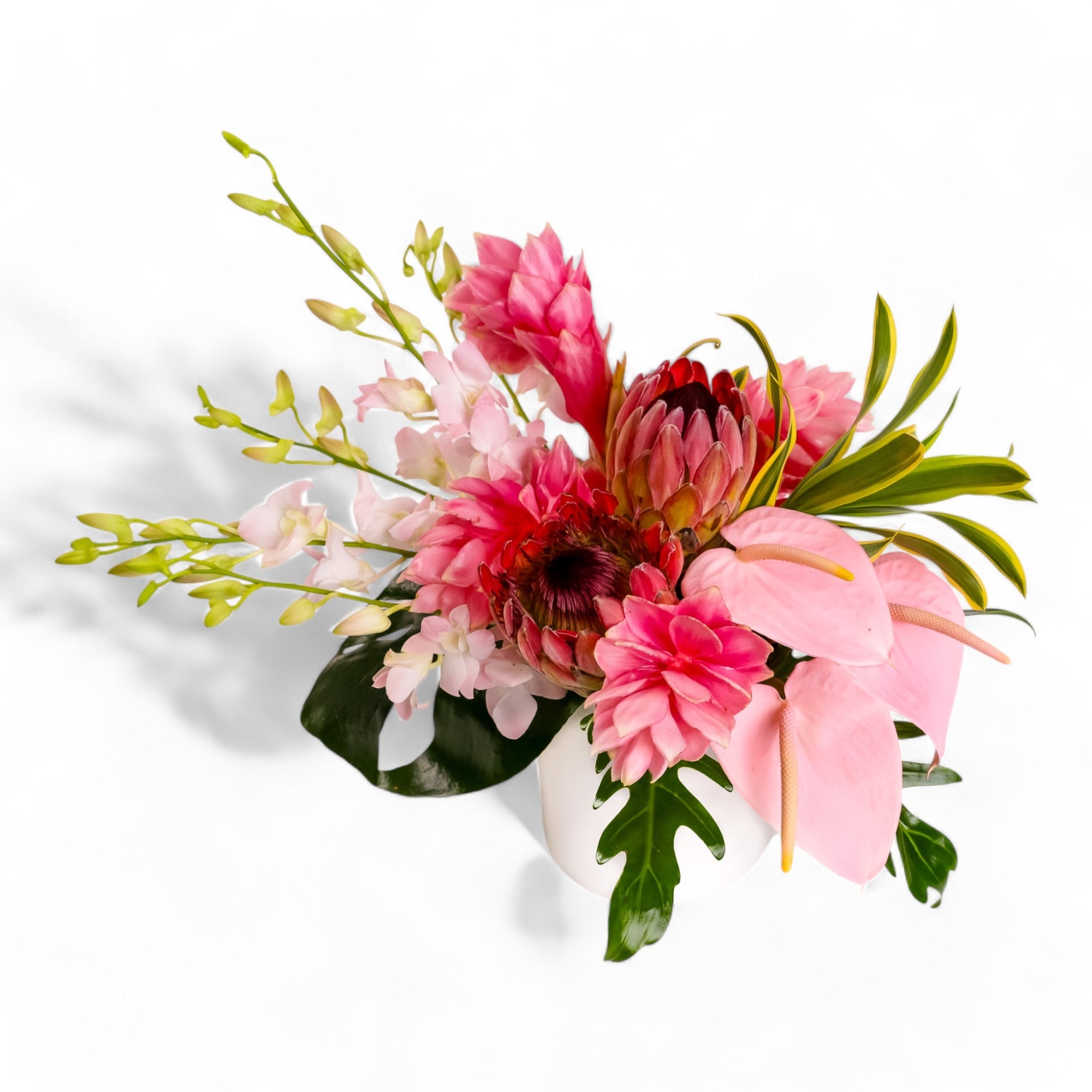 Tropical Blush Designer Floral - Green Fresh Florals + Plants