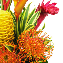 Tropical Delight Floral - Green Fresh Florals + Plants