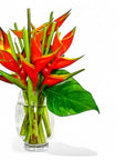 Tropical Fuego Heliconia - Green Fresh Florals + Plants