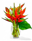 Tropical Fuego Heliconia - Green Fresh Florals + Plants