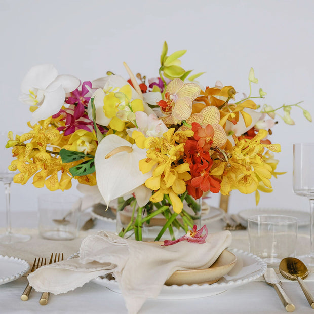 Tropical Orchids A la Carte Centerpiece - Green Fresh Florals + Plants