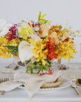 Tropical Orchids A la Carte Centerpiece - Green Fresh Florals + Plants