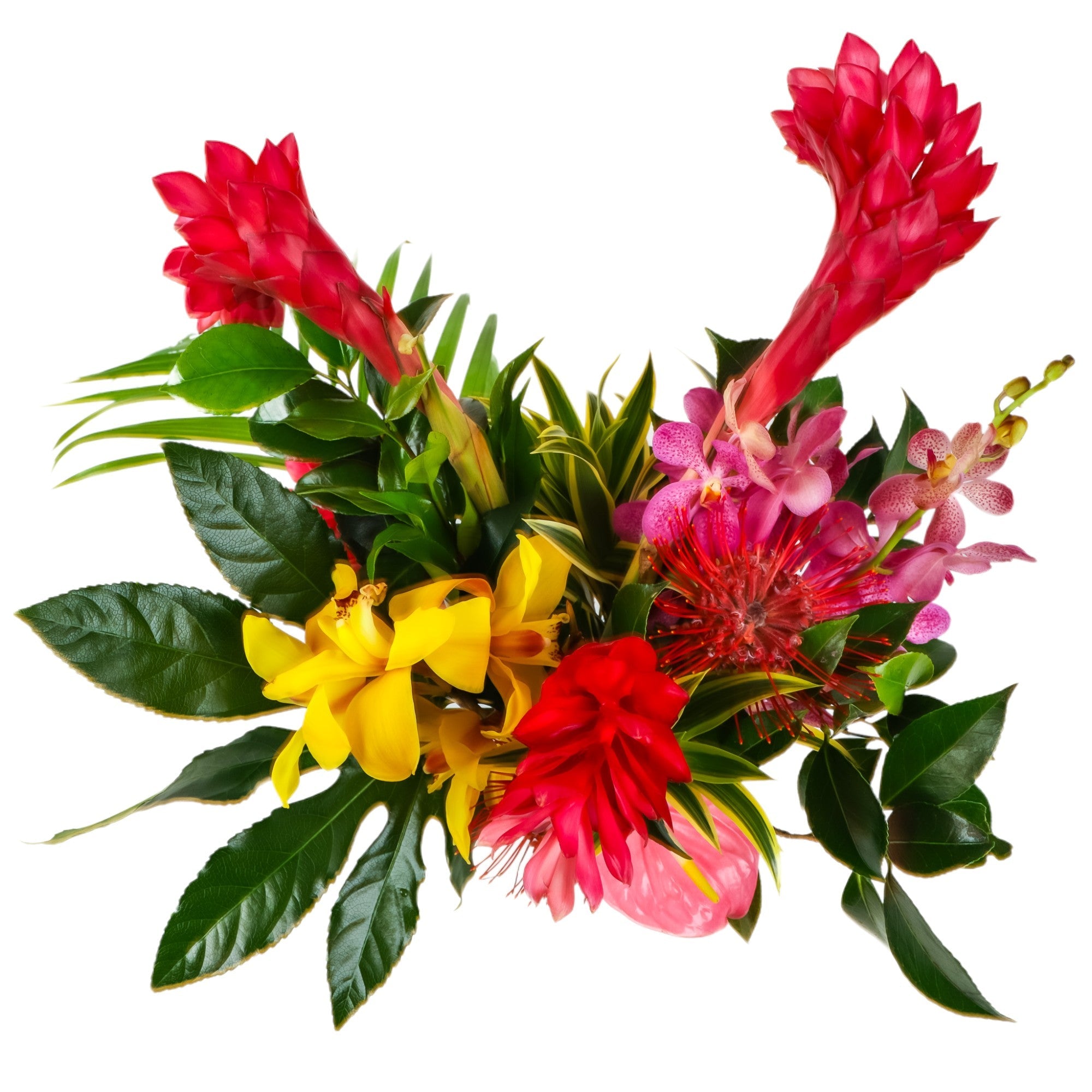 Tropical Paradise Designer Floral - Green Fresh Florals + Plants