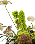 Vintage Lace Floral - Green Fresh Florals + Plants