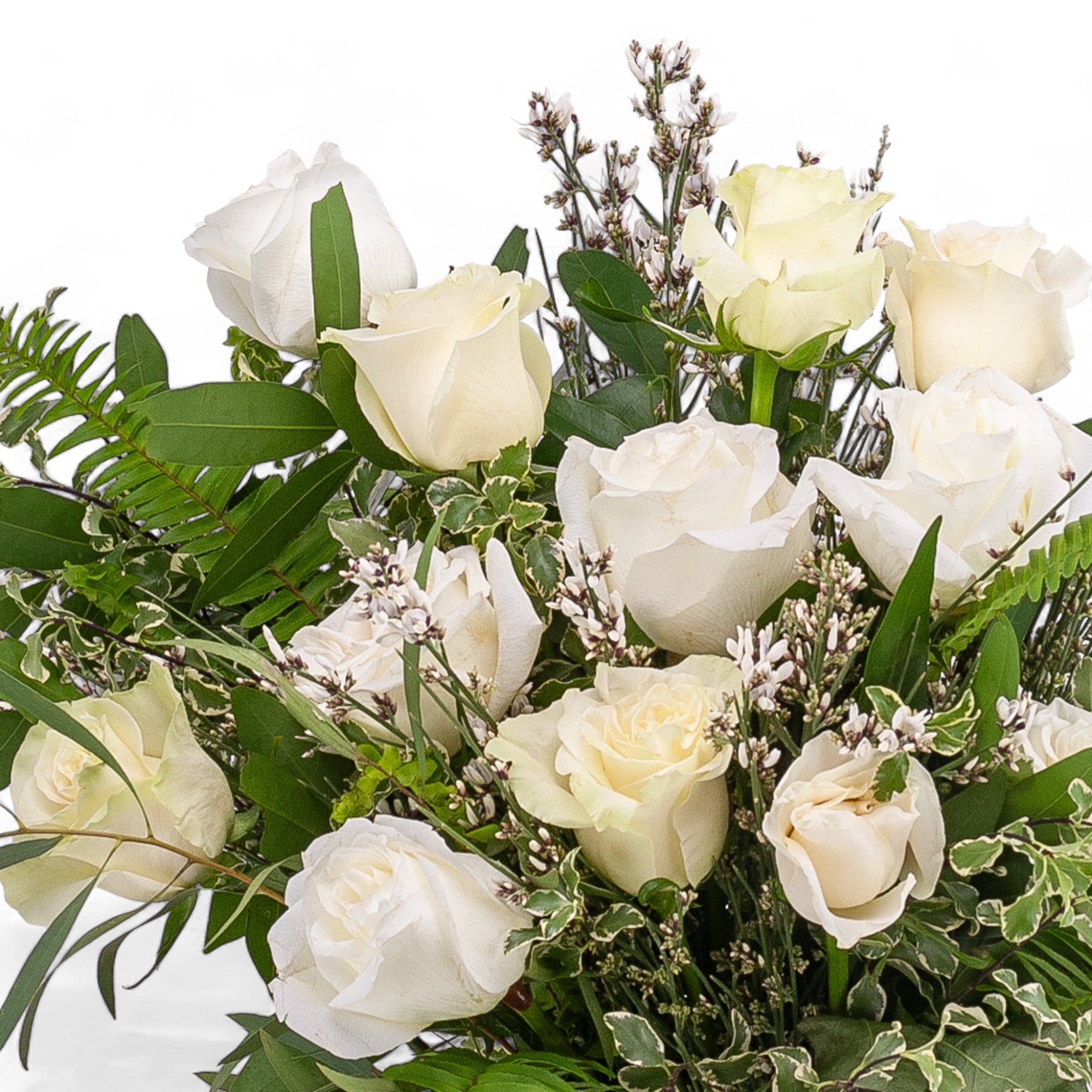 White Long - Stem Roses - Green Fresh Florals + Plants