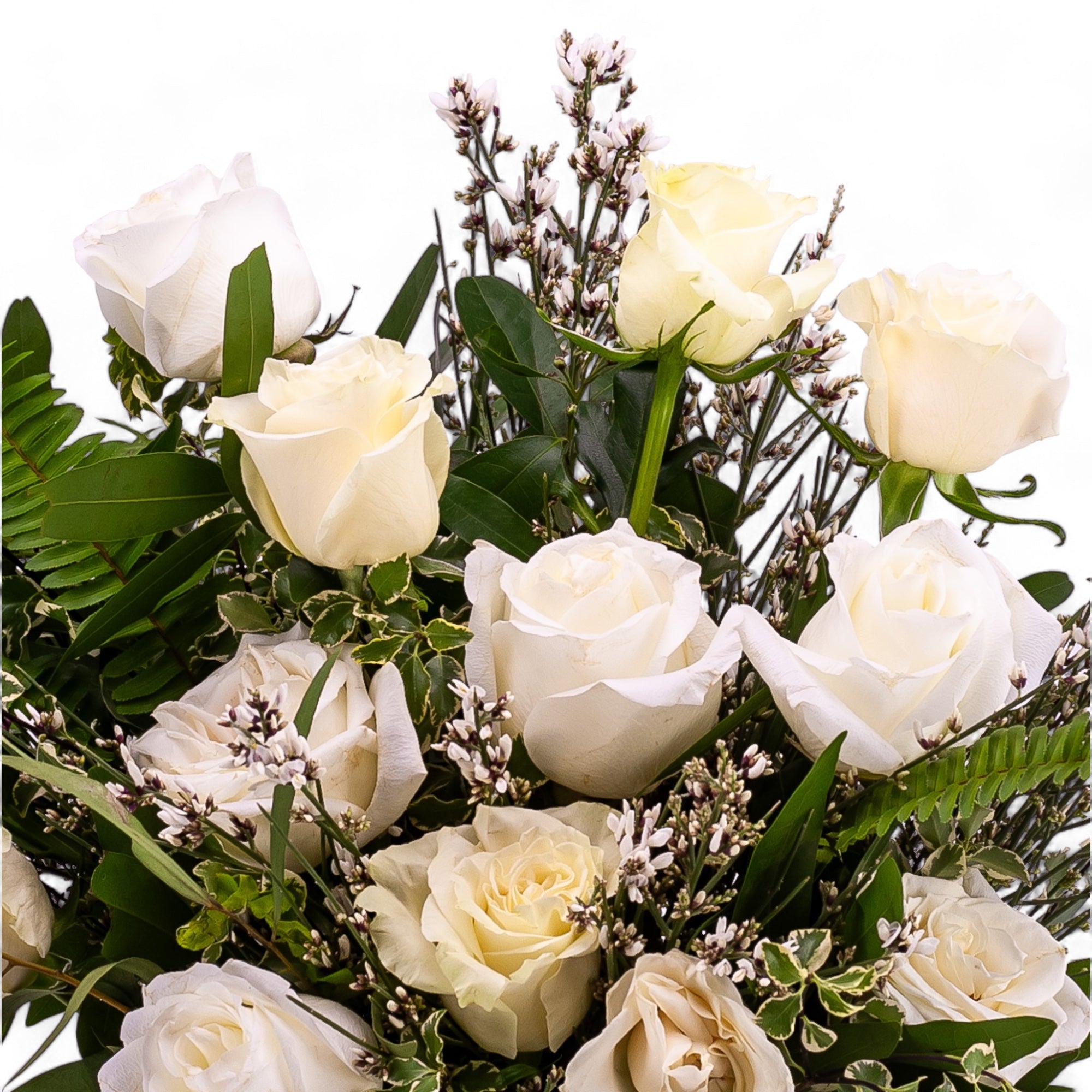 White Long - Stem Roses - Green Fresh Florals + Plants