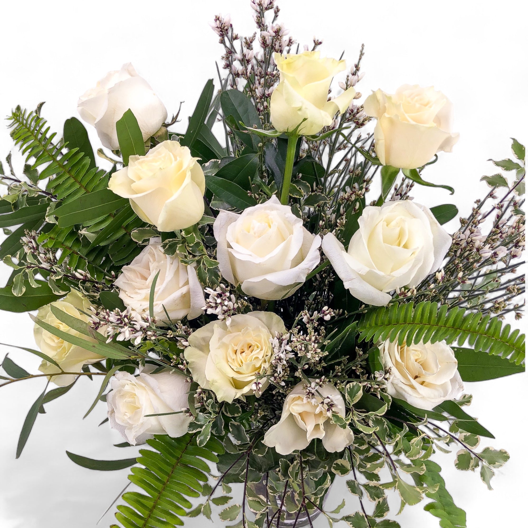 White Long - Stem Roses - Green Fresh Florals + Plants