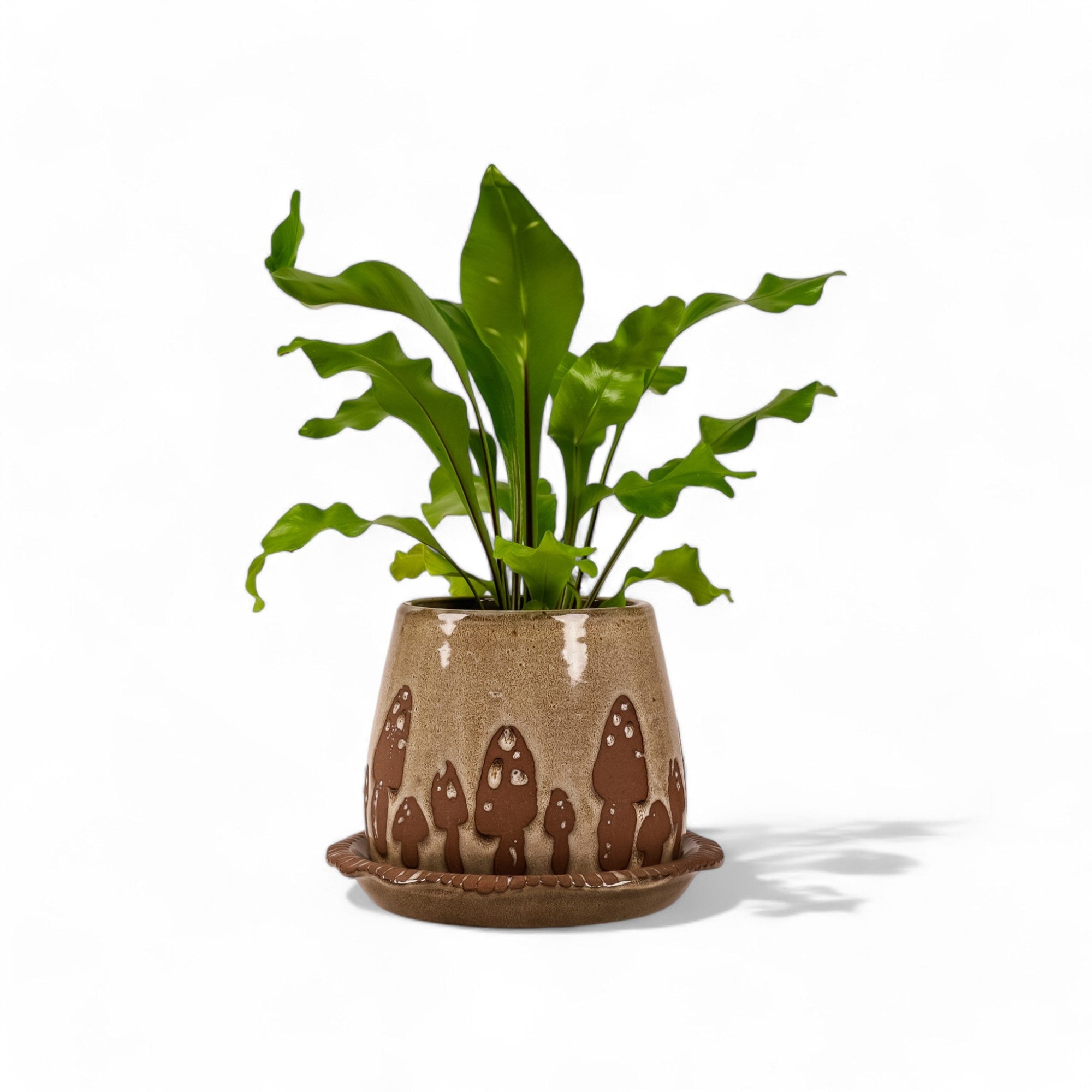 Wild Mushroom Pot + Saucer - Green Fresh Florals + Plants