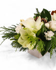 Winter Solstice Centerpiece - Green Fresh Florals + Plants