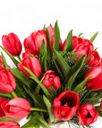 Winter Tulips Floral - Green Fresh Florals + Plants