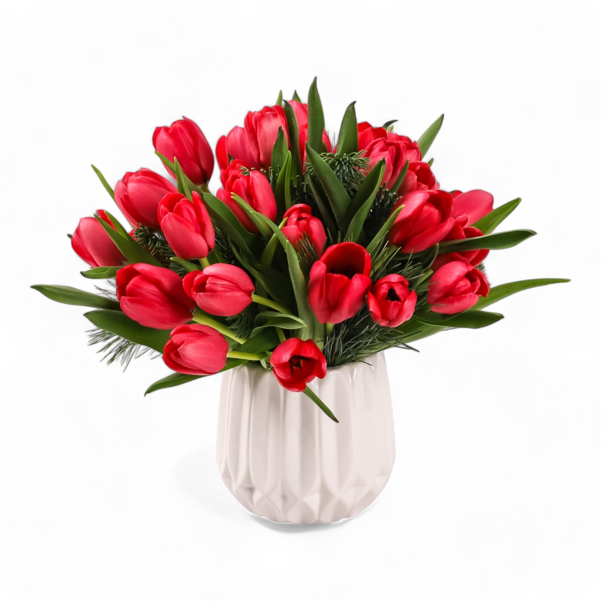 Winter Tulips Floral - Green Fresh Florals + Plants