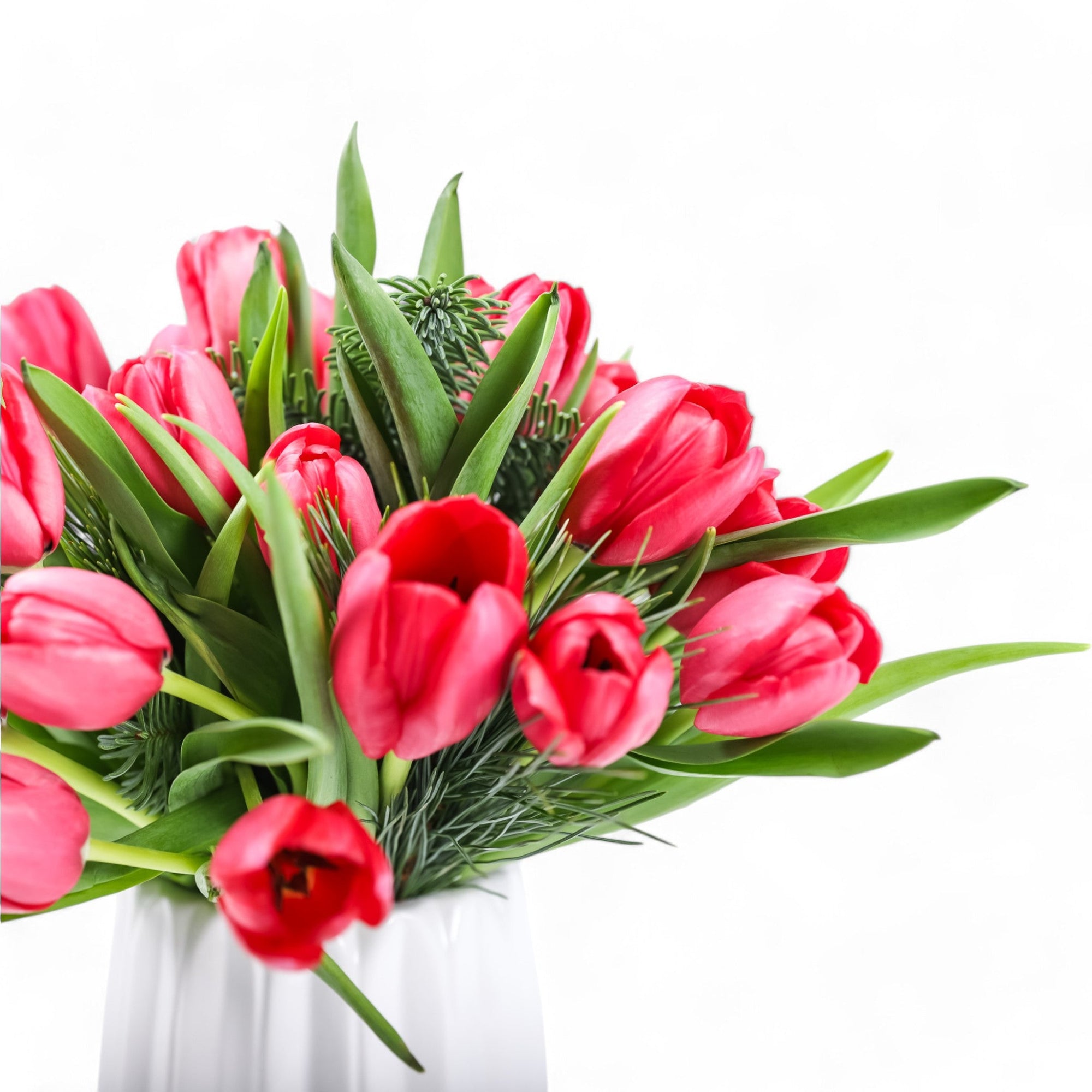 Winter Tulips Floral - Green Fresh Florals + Plants