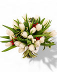 Winter Tulips Floral - Green Fresh Florals + Plants