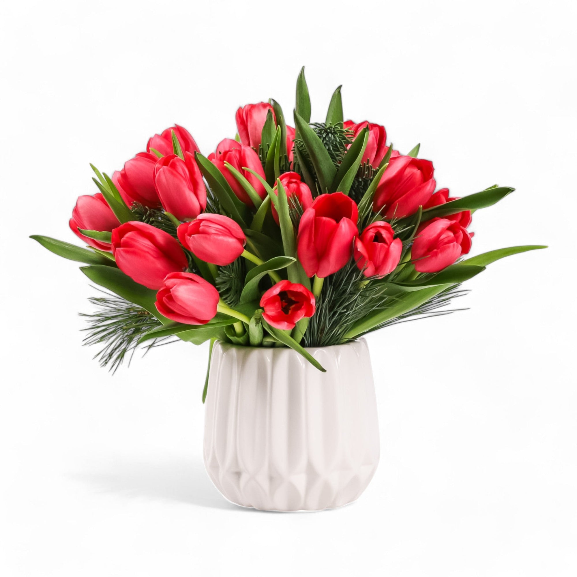 Winter Tulips Floral - Green Fresh Florals + Plants