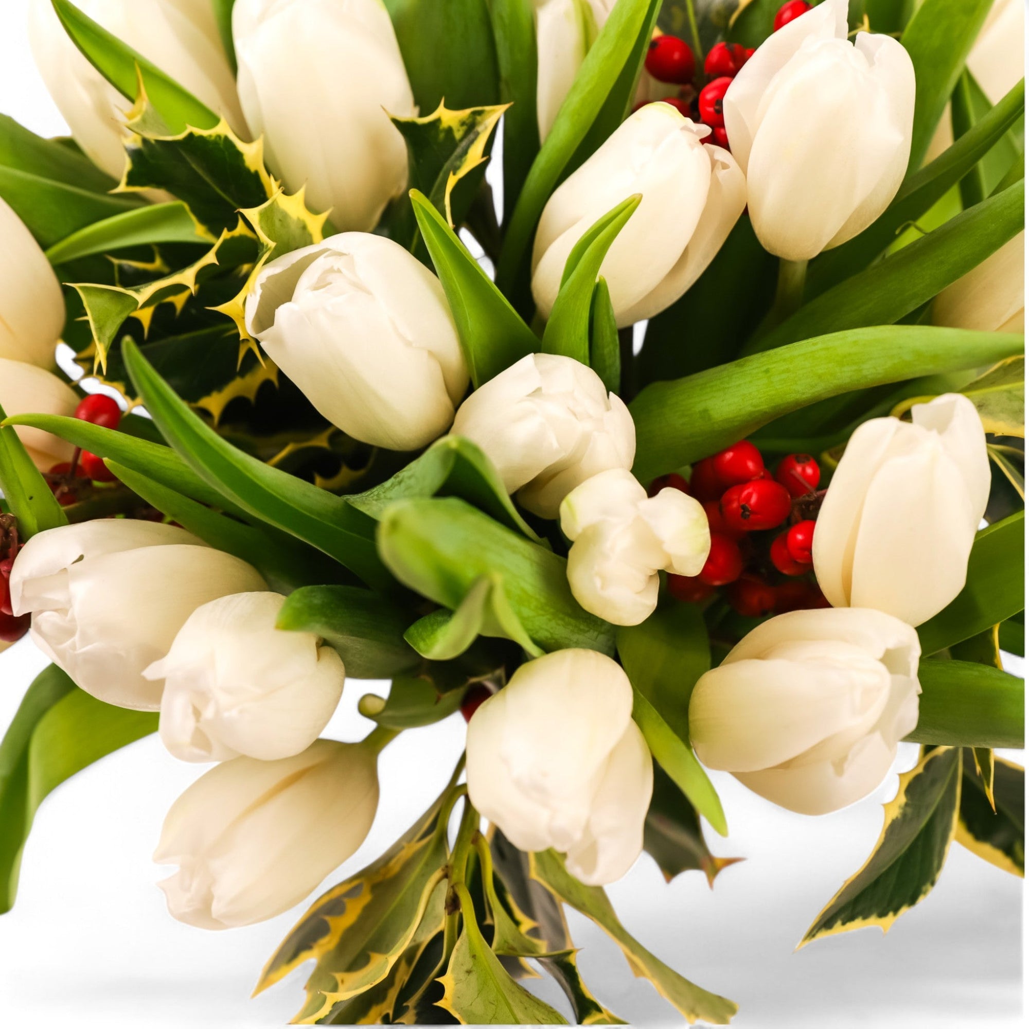 Winter Tulips Floral - Green Fresh Florals + Plants