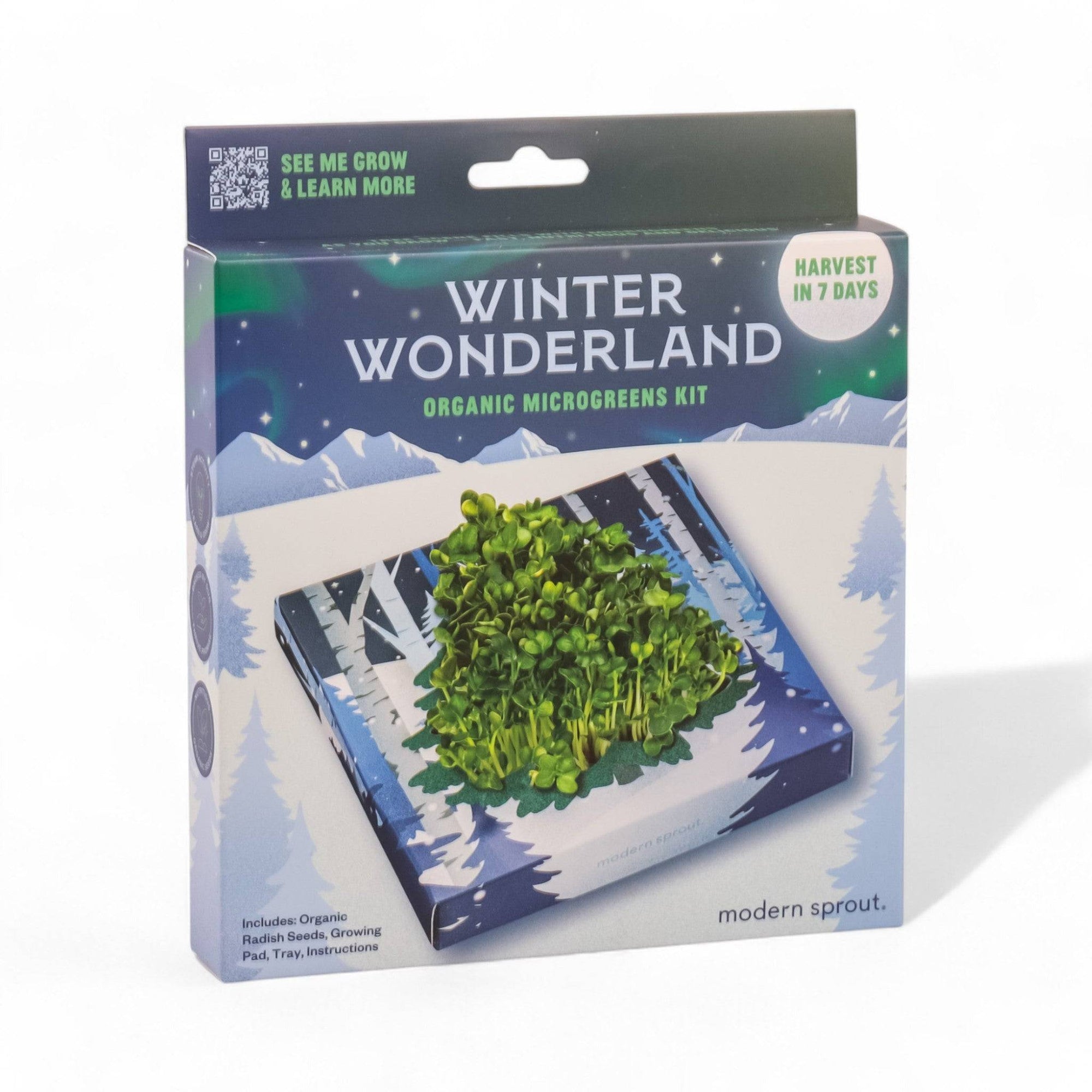 Winter Wonderland Microgreens Kit - Green Fresh Florals + Plants