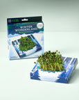 Winter Wonderland Microgreens Kit - Green Fresh Florals + Plants