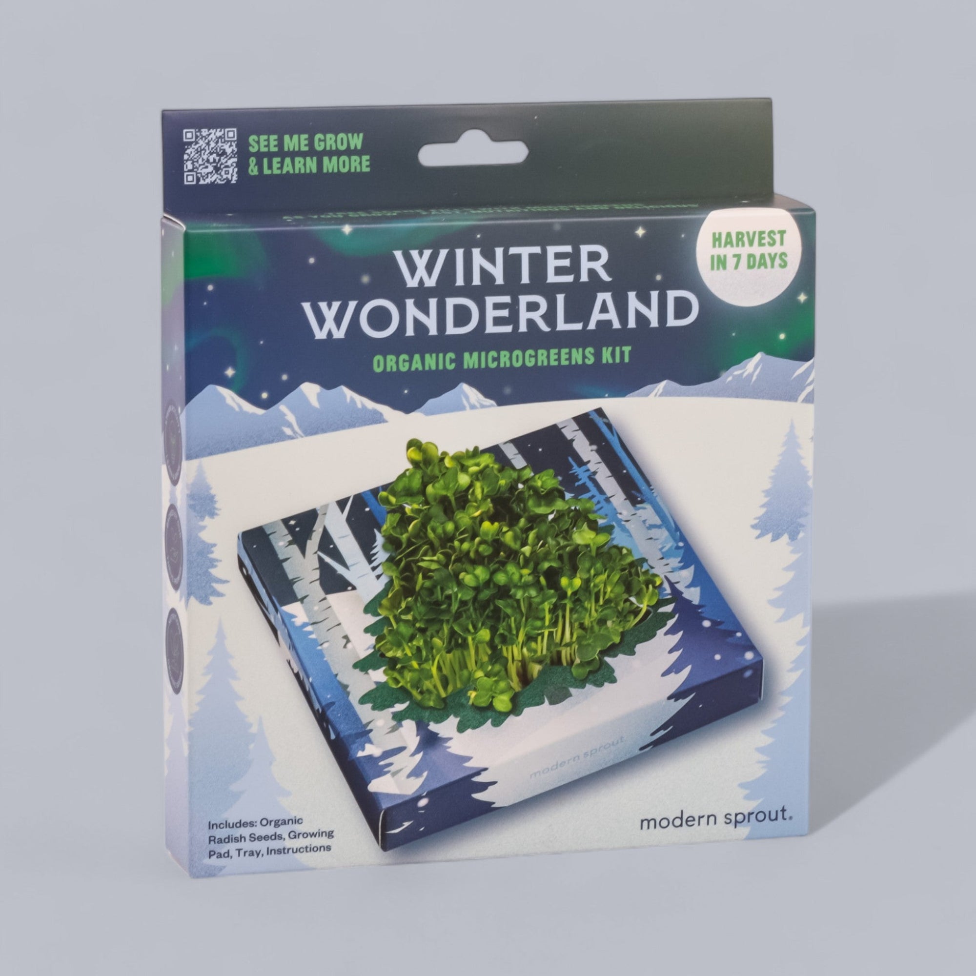 Winter Wonderland Microgreens Kit - Green Fresh Florals + Plants