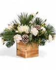 Wintry White Delight - Green Fresh Florals + Plants