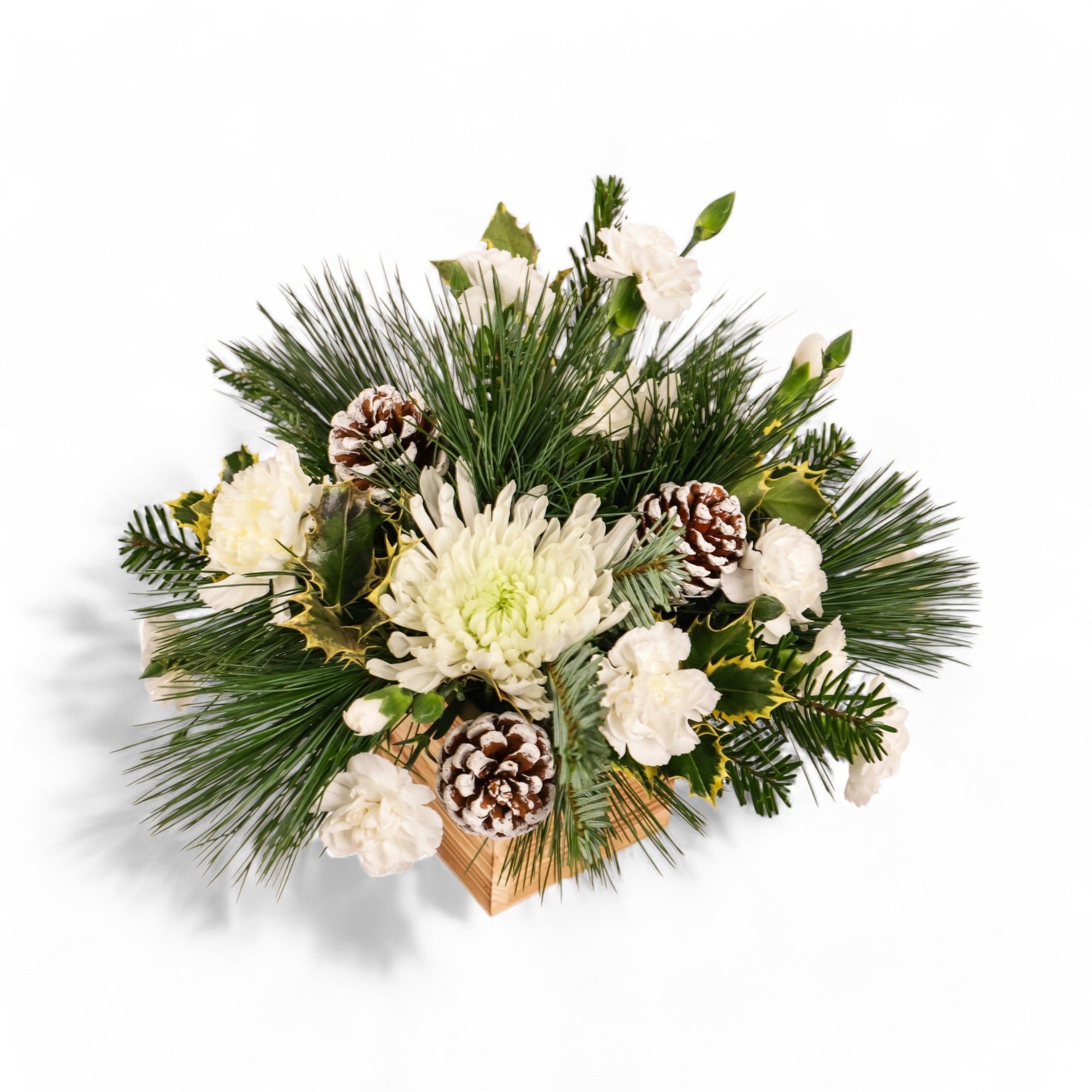 Wintry White Delight - Green Fresh Florals + Plants