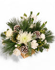 Wintry White Delight - Green Fresh Florals + Plants