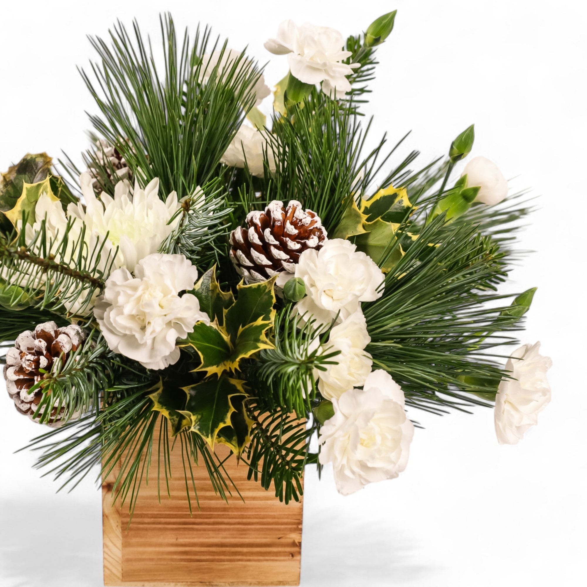 Wintry White Delight - Green Fresh Florals + Plants