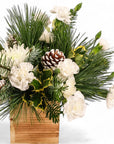 Wintry White Delight - Green Fresh Florals + Plants