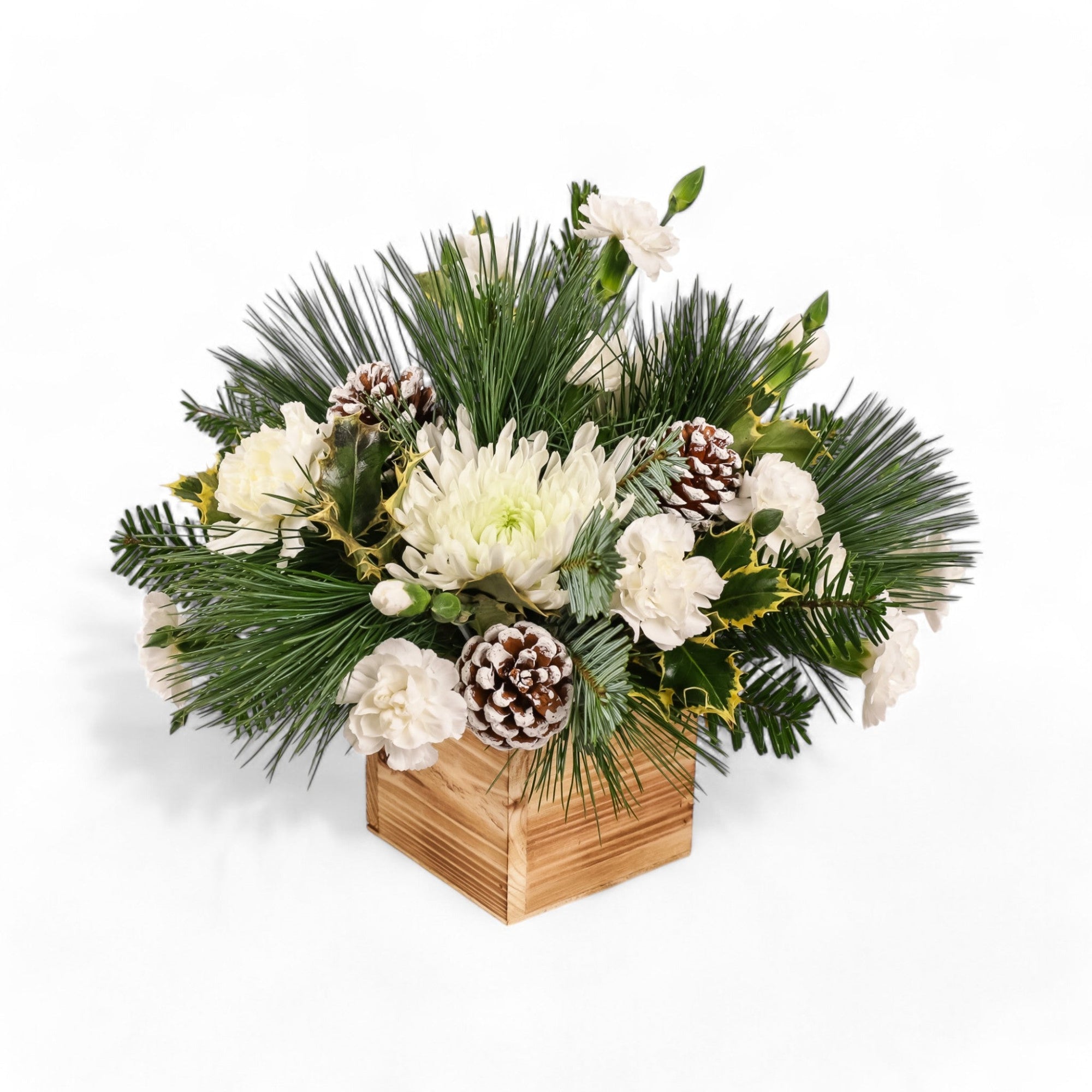 Wintry White Delight - Green Fresh Florals + Plants