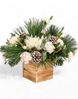 Wintry White Delight - Green Fresh Florals + Plants