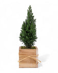 Woodland European Evergreen - Green Fresh Florals + Plants