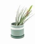 3" Minute Pot II - Green Fresh Florals + Plants