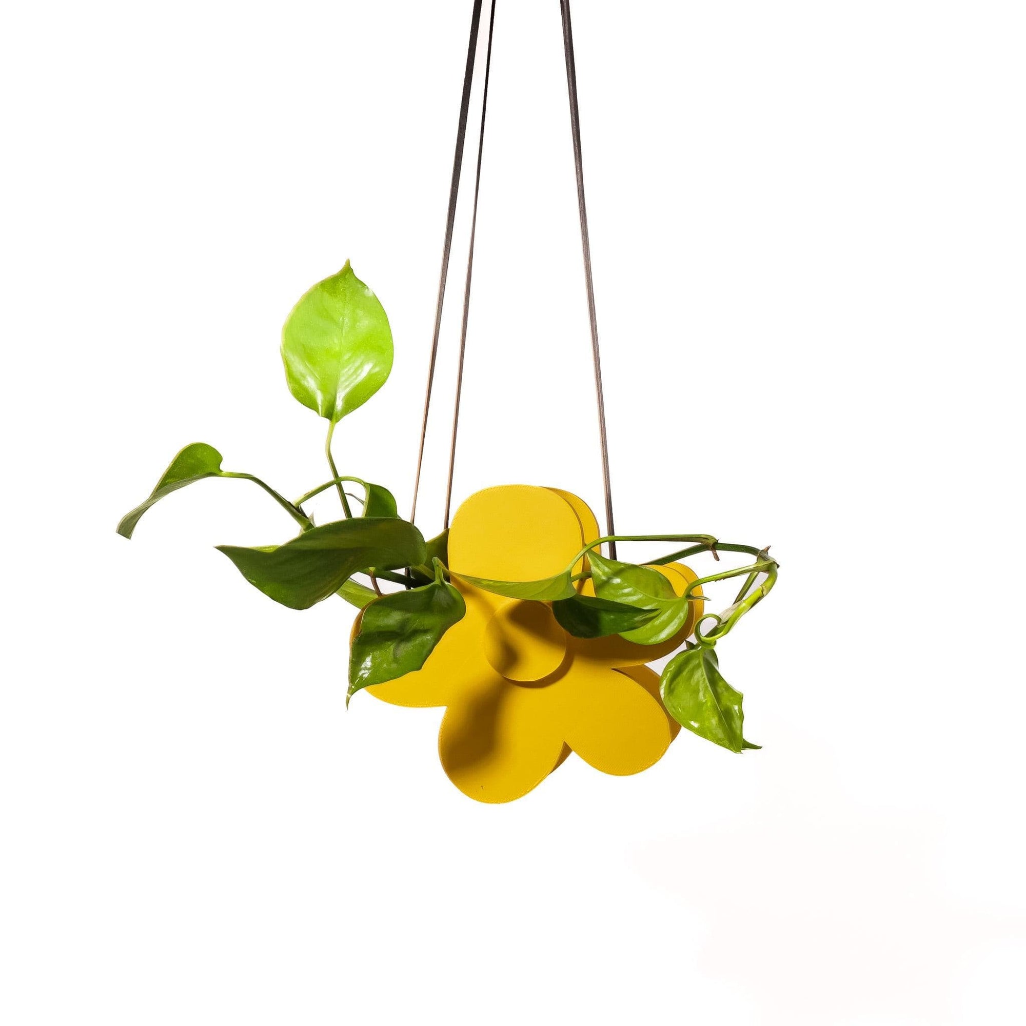 3D Printed Hanging Daisy Planter - Green Fresh Florals + Plants