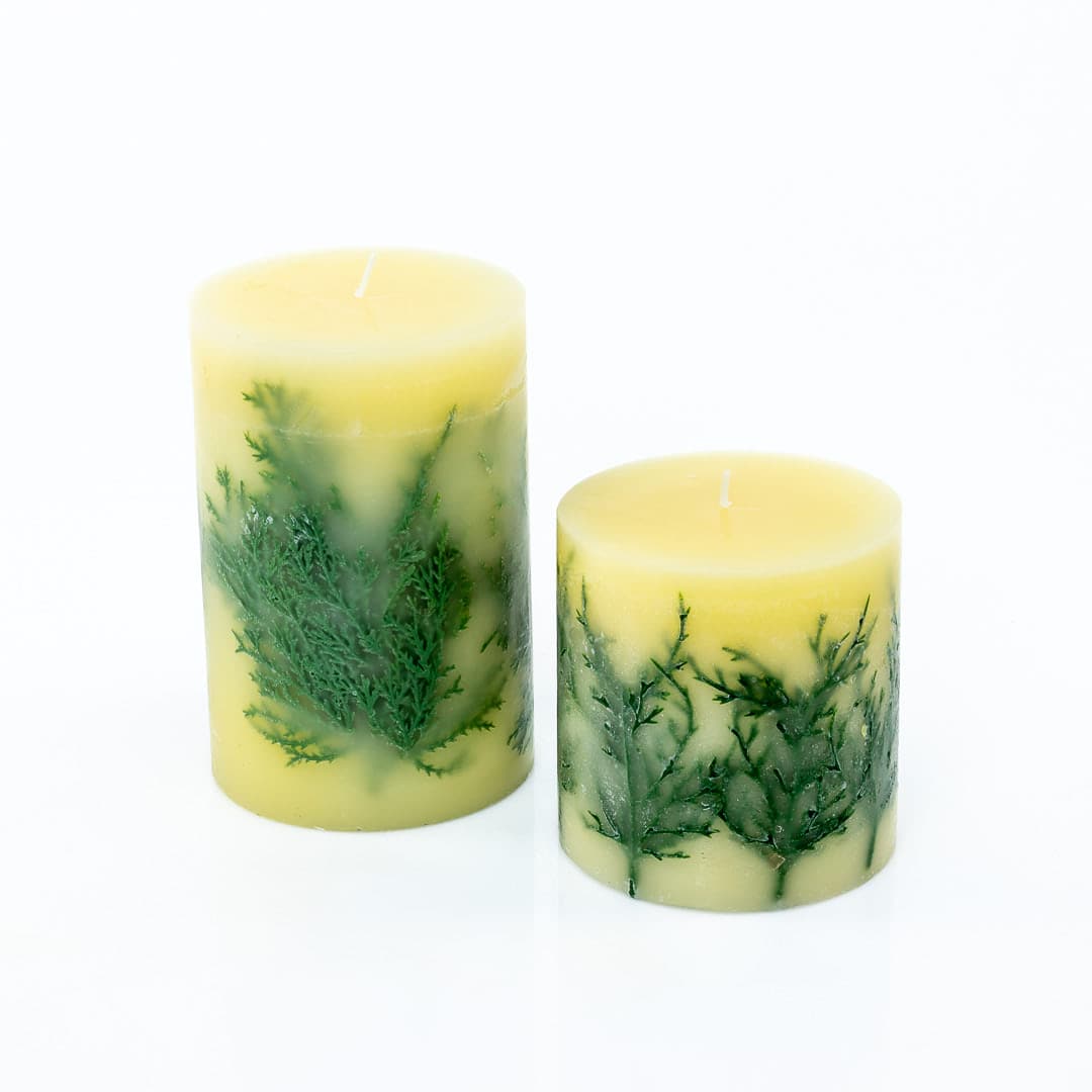 Shop Fir Scented Pillar Candles online from Green Fresh Florals + Plants