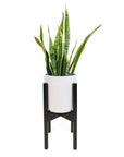 Adjustable Bamboo Plant Stand - Green Fresh Florals + Plants
