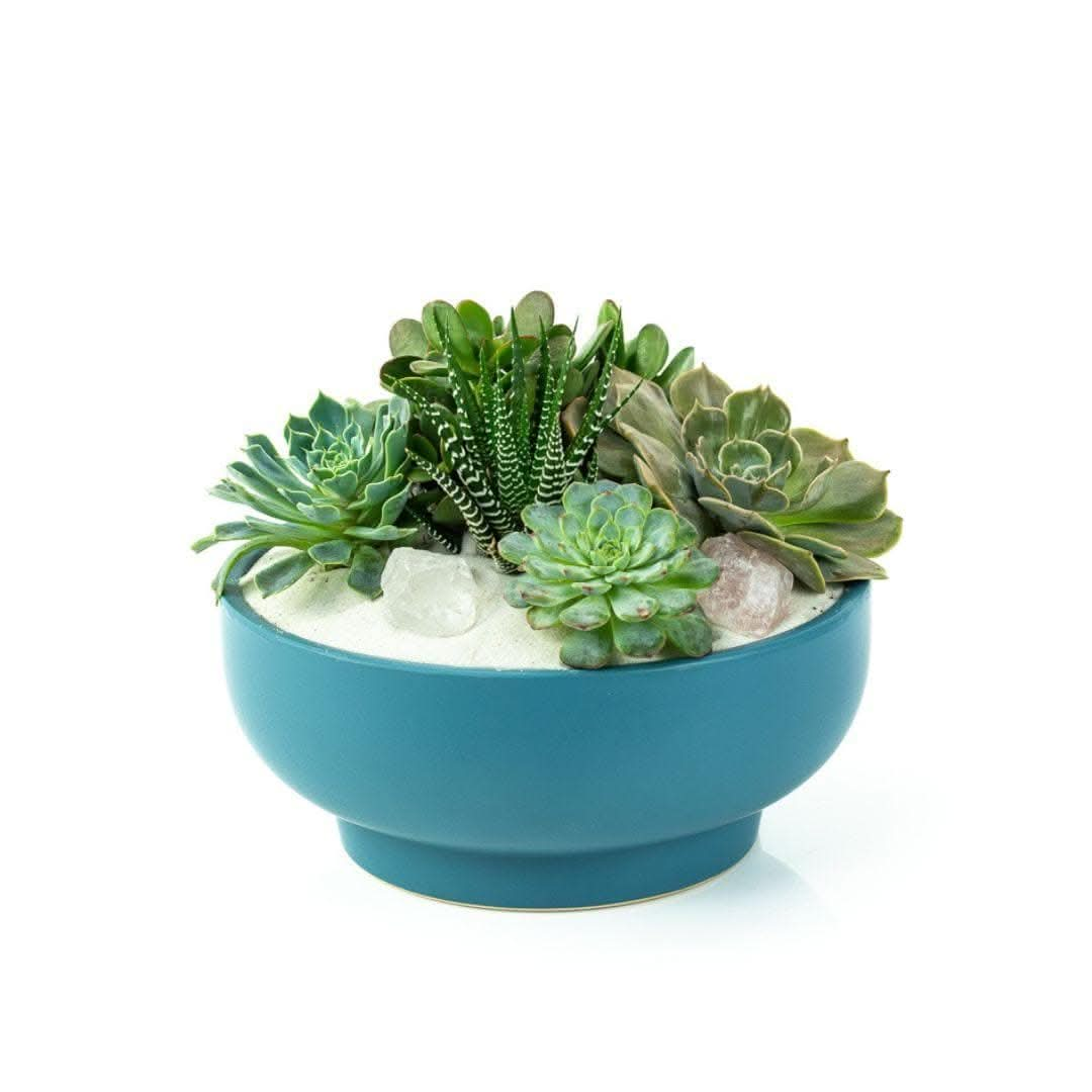 Vintage Green Circular Succulent Planter hotsell