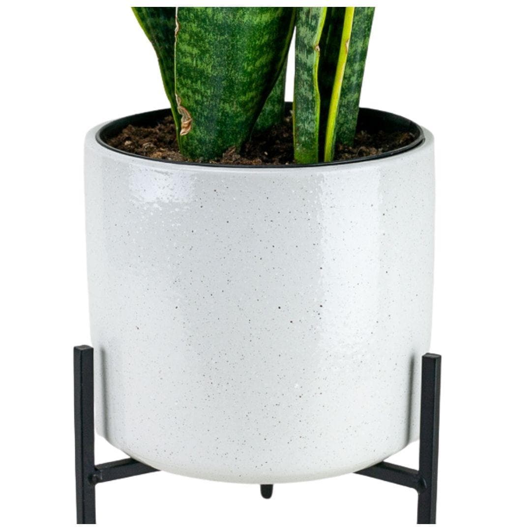 Black Metal Plant Stand with White Pot - Green Fresh Florals + Plants