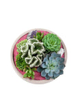 Blush Crystal Succulent Garden - Green Fresh Florals + Plants