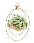 Brass Ring V Hanger - Green Fresh Florals + Plants