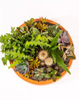 Concrete Succulent Planting - Green Fresh Florals + Plants