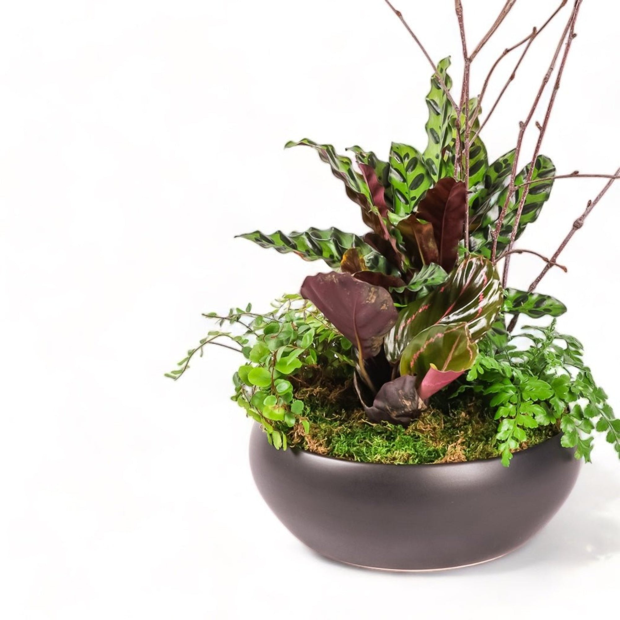 Dark Forest Planting - Green Fresh Florals + Plants