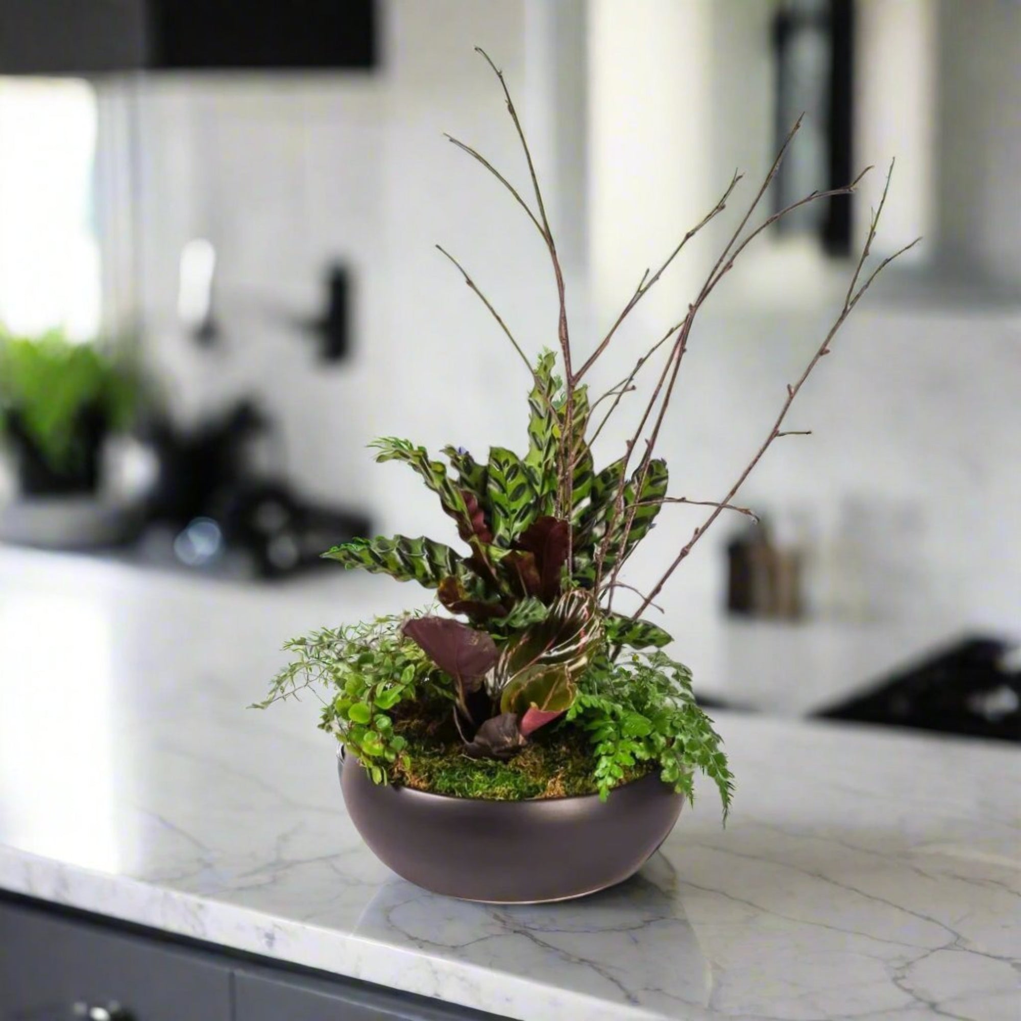 Dark Forest Planting - Green Fresh Florals + Plants