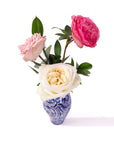 Garden Rose Trio - Green Fresh Florals + Plants