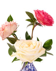 Garden Rose Trio - Green Fresh Florals + Plants