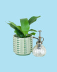 Glass Orb Plant Mister - Green Fresh Florals + Plants