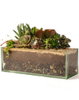 Glasshaus Succulent Planting - Green Fresh Florals + Plants