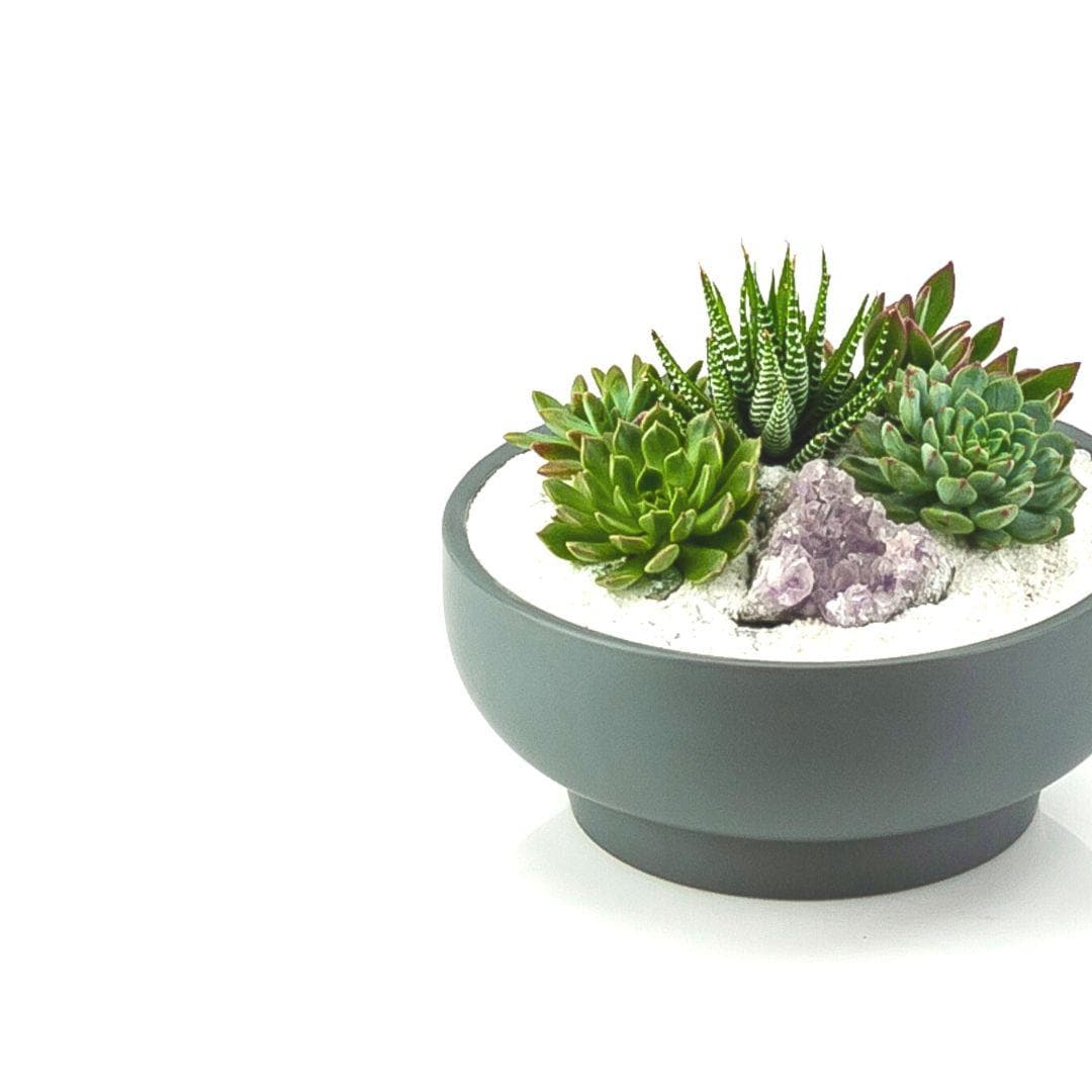 Granite Crystal Succulent Garden - Green Fresh Florals + Plants