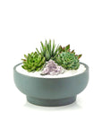 Granite Crystal Succulent Garden - Green Fresh Florals + Plants