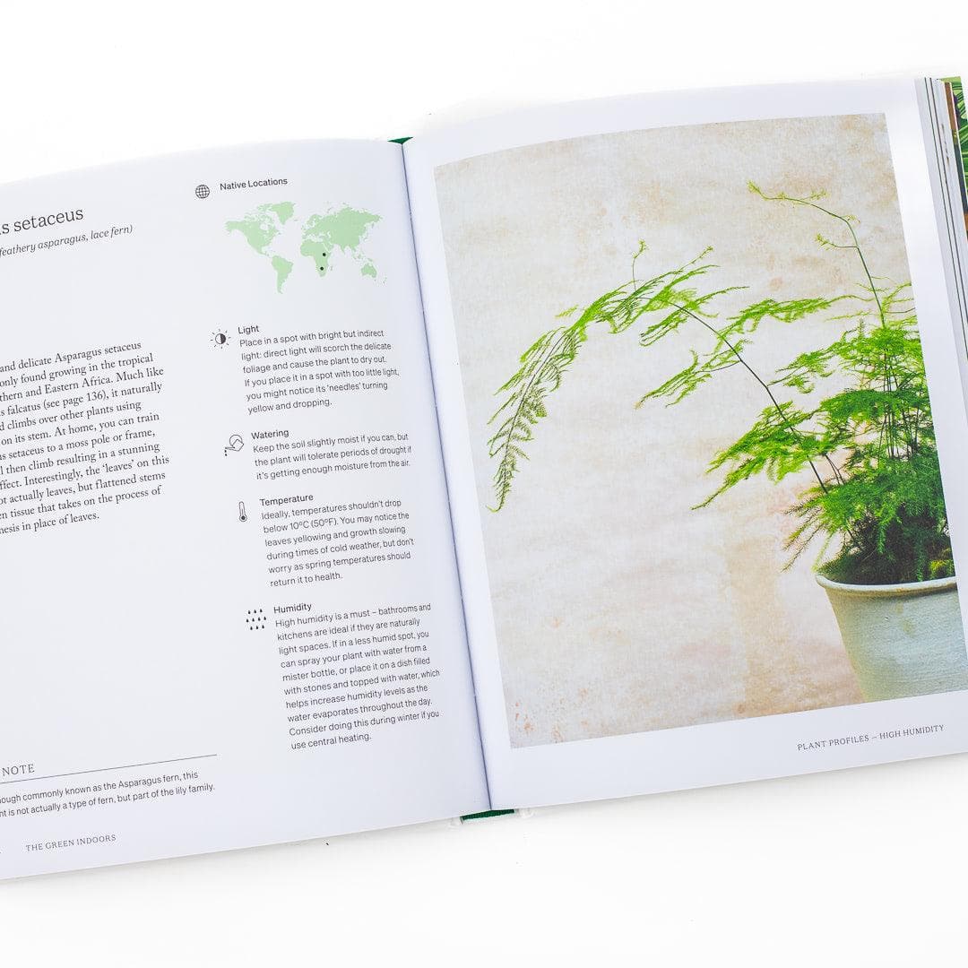 Green Indoors Book - Green Fresh Florals + Plants