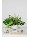 Green Monochrome A la Carte Centerpiece - Green Fresh Florals + Plants