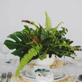 Green Monochrome A la Carte Centerpiece - Green Fresh Florals + Plants